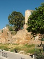 dscf0020.jpg