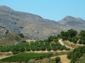 dscf0144.jpg