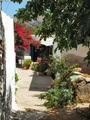 dscf0280_zagros.jpg