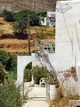 dscf0283_zagros.jpg