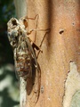 dscf0349.jpg