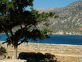 dscf0369.jpg