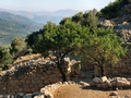 dscf0418_leto.jpg