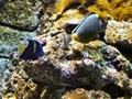 dscf0424.jpg