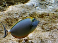 dscf0427_crete_sea_world.jpg