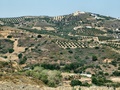 dscf0437.jpg