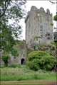 blarney_castle_02