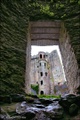 blarney_castle_06