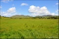 bucolic_01
