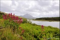 Lough Beagh
